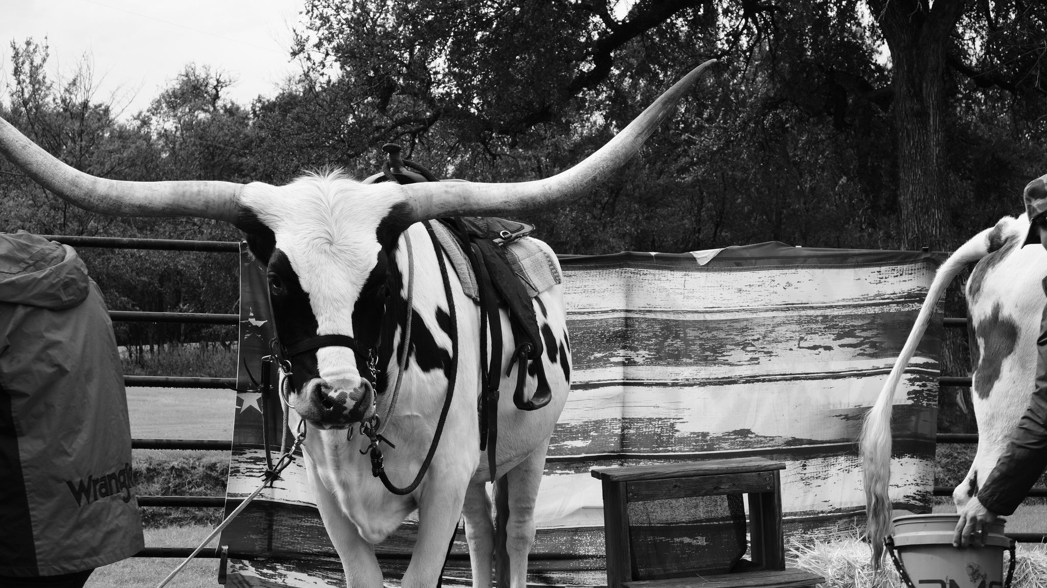 Community moment photo 14