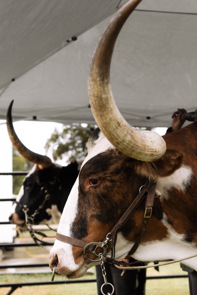 Community moment photo 22